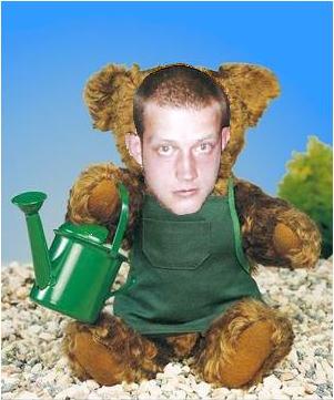 yozthebear.jpg